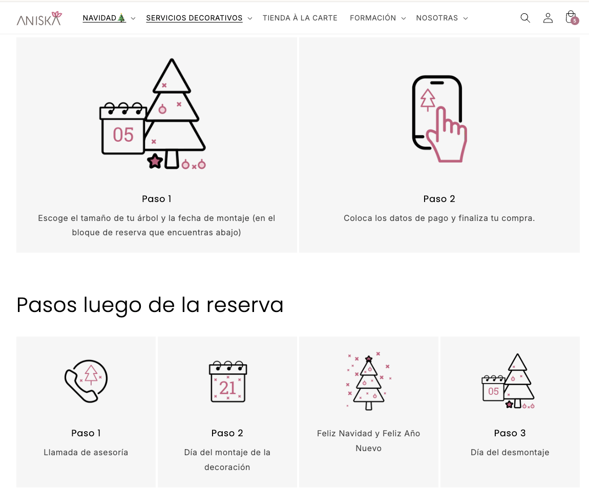 Aniska: imagen 3 del proyecto