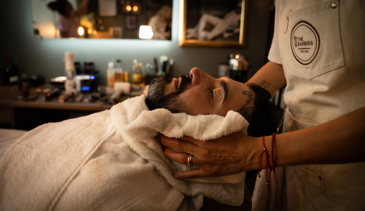 Proyecto The Barbera